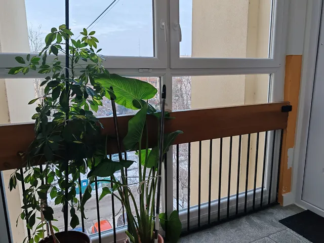 Eladó lakás Siófok, Belváros 59 nm