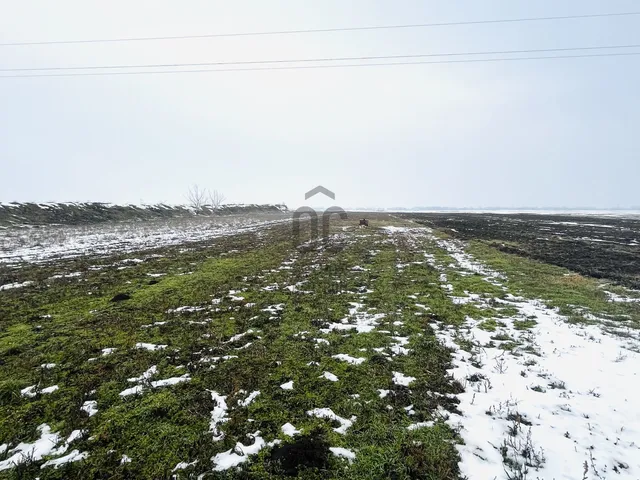 Eladó telek Polgárdi 1595 nm