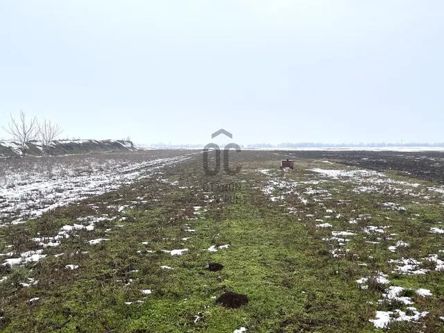 Eladó telek Polgárdi 1595 nm