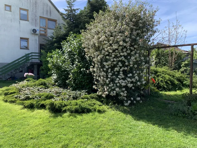 Eladó ház Enying 217 nm