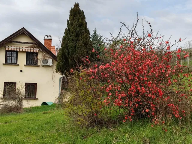 Eladó ház Kötcse 130 nm