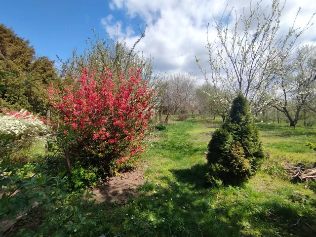 Eladó ház Ádánd 95 nm