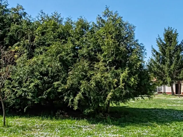Eladó ház Kőröshegy 100 nm