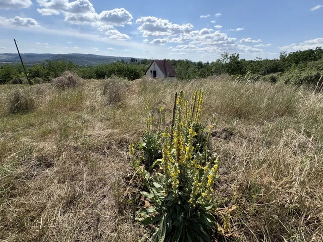 Eladó telek Teleki 1772 nm