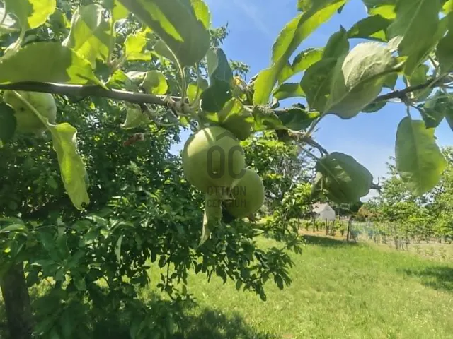 Eladó nyaraló Siófok 2198 nm