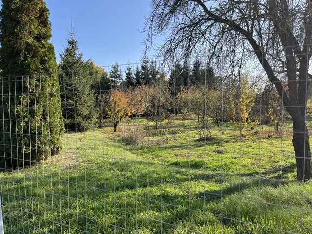 Kiadó telek Debrecen, Biczó István-kert 1200 nm