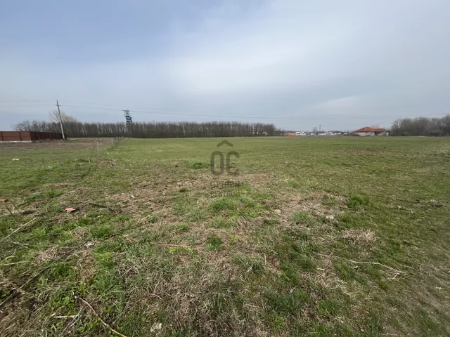 Eladó telek Hajdúsámson, Sámsonkert 8824 nm