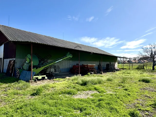 Eladó mezőgazdasági ingatlan Berekböszörmény 750 nm