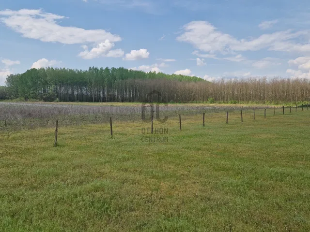 Eladó mezőgazdasági ingatlan Debrecen, Dombos 240 nm