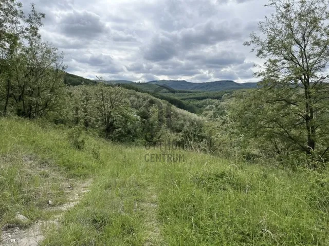 Eladó telek Dorogháza 220000 nm