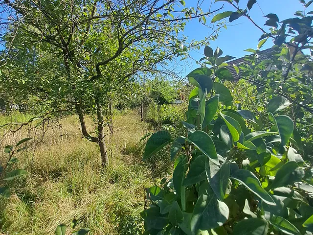 Eladó telek Debrecen, Pac 833 nm