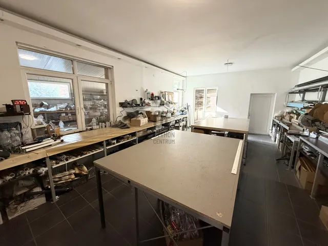 Eladó ház Debrecen, Belváros 300 nm