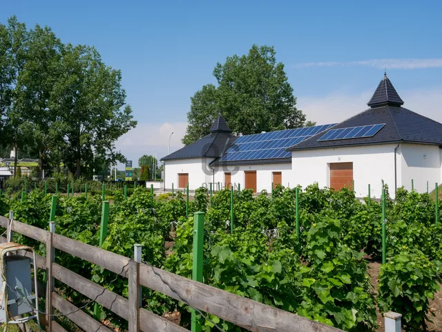 Eladó kereskedelmi és ipari ingatlan Hajdúsámson 600 nm