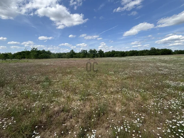 Eladó telek Debrecen 1316 nm