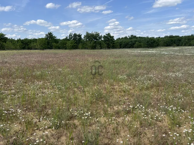 Eladó telek Debrecen 1316 nm