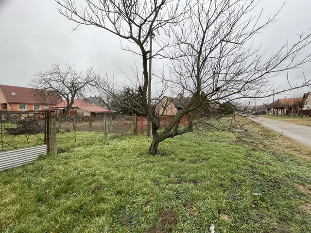 Eladó telek Mikepércs 539 nm