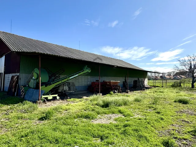 Eladó mezőgazdasági ingatlan Berekböszörmény 6844 nm