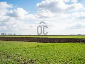 Eladó mezőgazdasági ingatlan Katymár 93177 nm