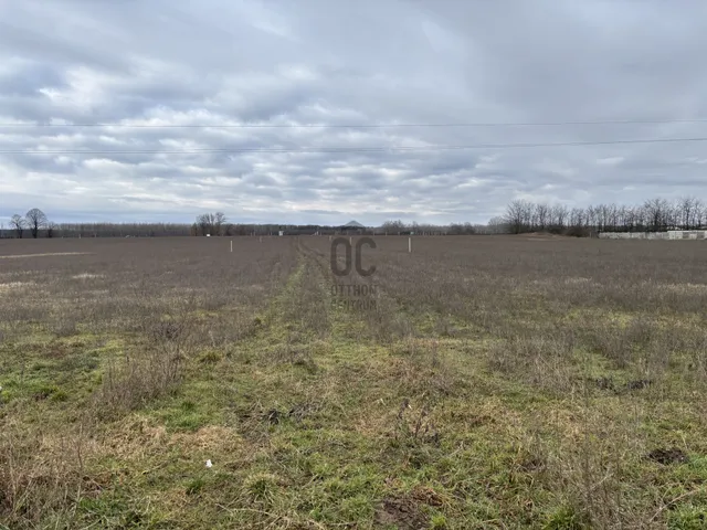 Eladó telek Hajdúhadház 97139 nm