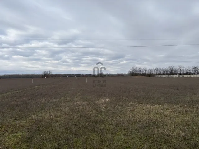 Eladó telek Hajdúhadház 97139 nm