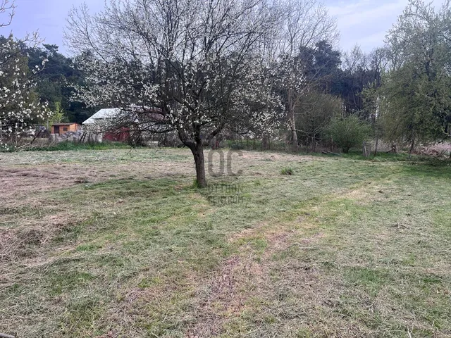 Eladó mezőgazdasági ingatlan Debrecen 4000 nm