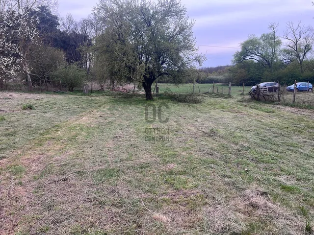 Eladó mezőgazdasági ingatlan Debrecen 4000 nm