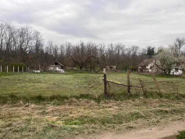 Eladó mezőgazdasági ingatlan Debrecen 4000 nm