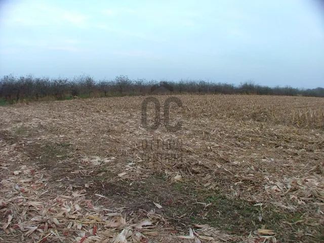 Eladó mezőgazdasági ingatlan Debrecen, Pallag 3418 nm