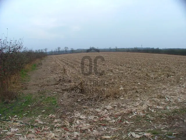 Eladó mezőgazdasági ingatlan Debrecen, Pallag 3418 nm