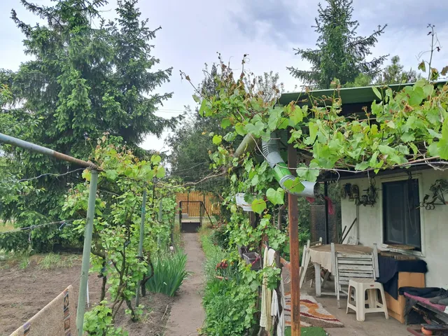 Eladó telek Debrecen, Biczó István-kert 1106 nm