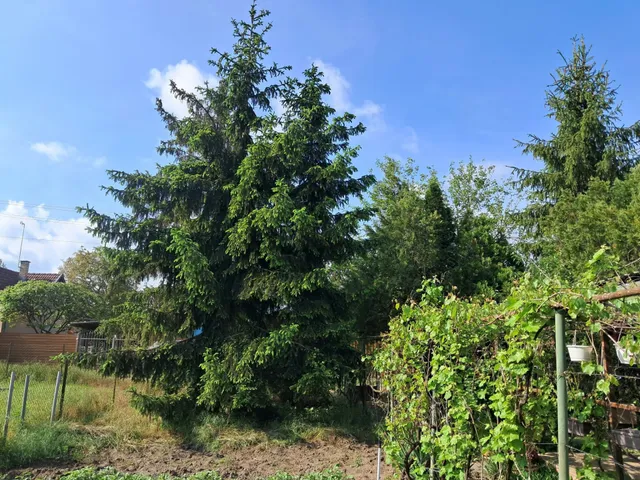 Eladó telek Debrecen, Biczó István-kert 1106 nm