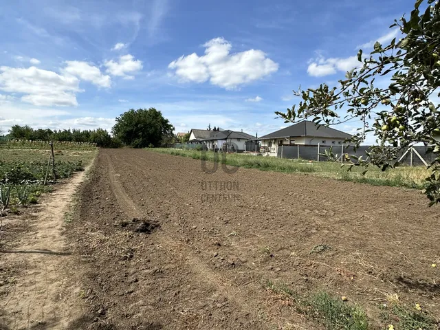 Eladó telek Dány 1571 nm