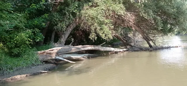 Eladó telek Győr, Pinnyéd 700 nm