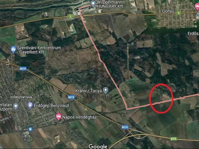 Eladó mezőgazdasági ingatlan Gönyű 54125 nm