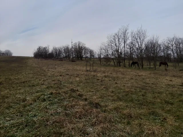 Eladó telek Győr, Ménfőcsanak 1717 nm