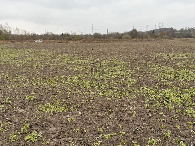 Eladó telek Győr 10000 nm