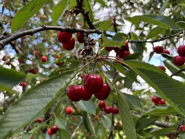Eladó ház Győr 30 nm