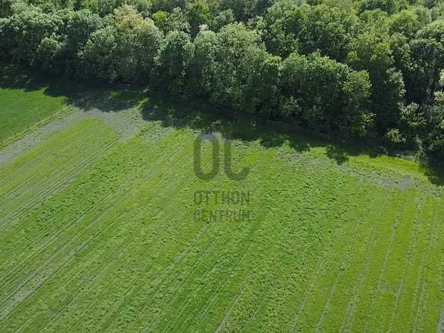 Eladó mezőgazdasági ingatlan Mosonmagyaróvár 5643 nm