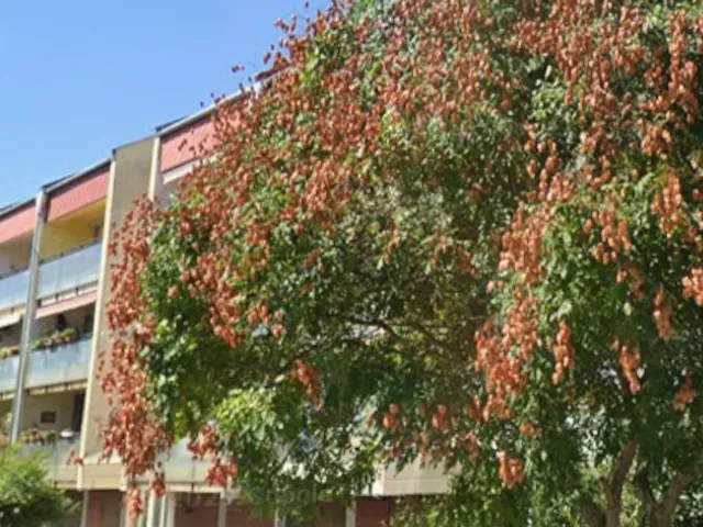 Eladó lakás Balatonfüred 144 nm