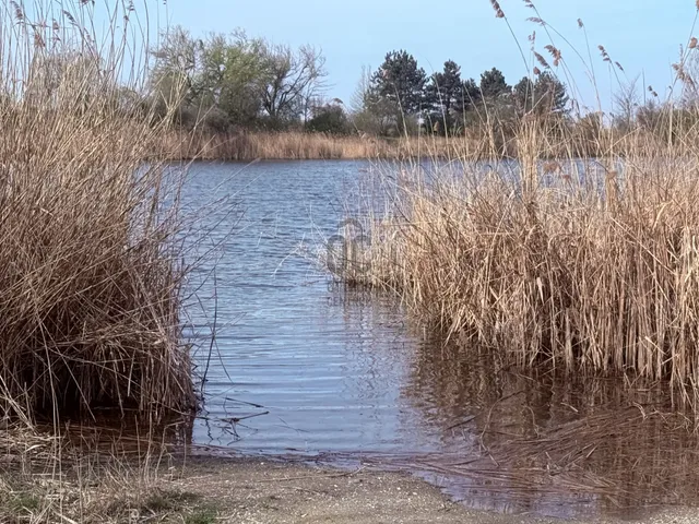 Eladó mezőgazdasági ingatlan Győr 100100 nm