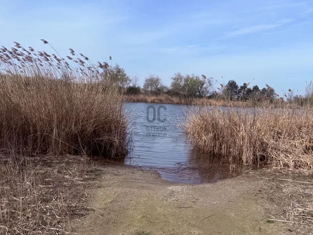Eladó mezőgazdasági ingatlan Győr 100100 nm