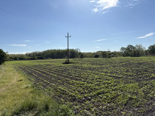 Eladó telek Győrszemere 12486 nm