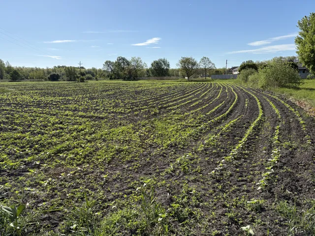 Eladó telek Győrszemere 12486 nm