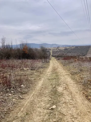 Eladó mezőgazdasági ingatlan Pomáz 721 nm