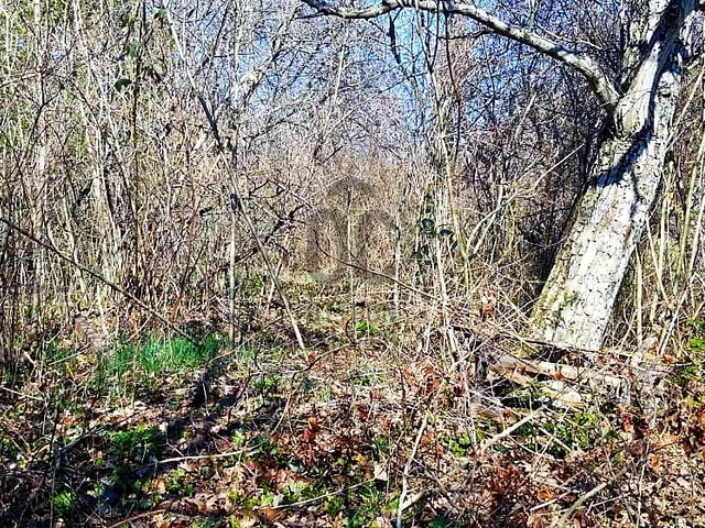Eladó telek Pomáz 1644 nm