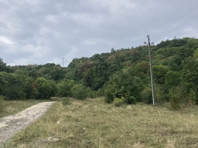Eladó mezőgazdasági ingatlan Szentendre 3028 nm