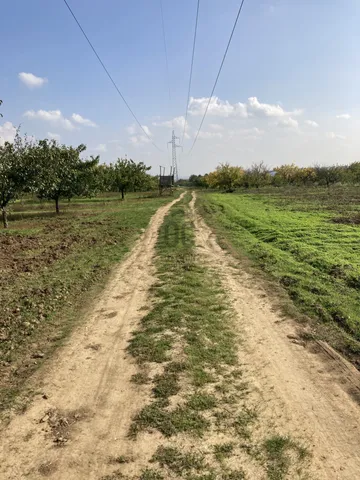 Eladó mezőgazdasági ingatlan Pomáz, Dolinapuszta 4500 nm