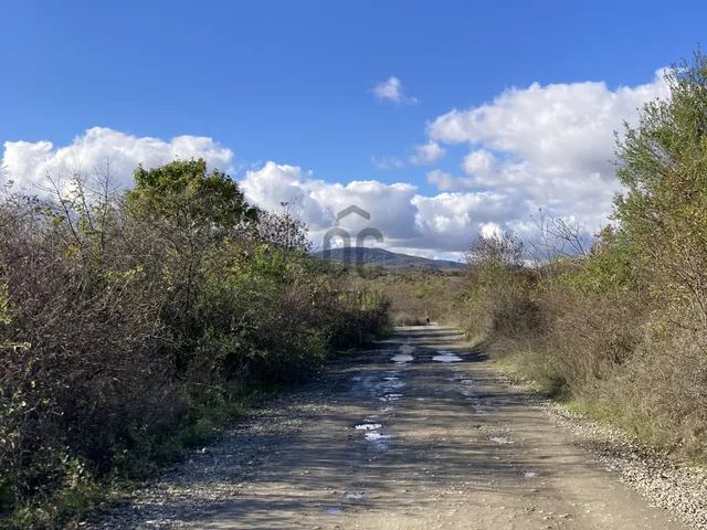 Eladó mezőgazdasági ingatlan Szentendre 3084 nm