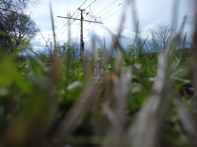 Eladó mezőgazdasági ingatlan Szentendre