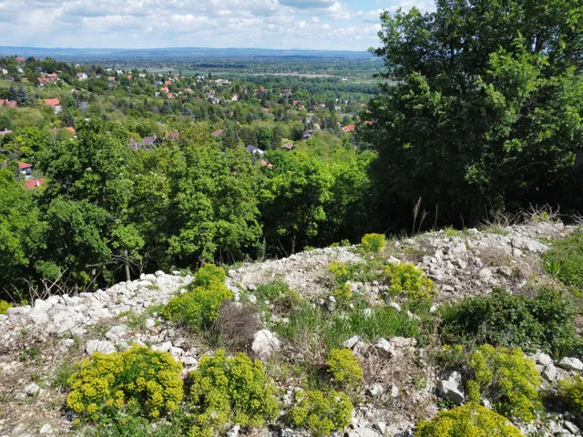 Eladó telek Szentendre, Pismány 770 nm